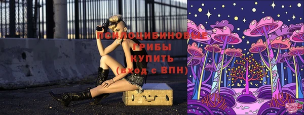 apvp Семикаракорск