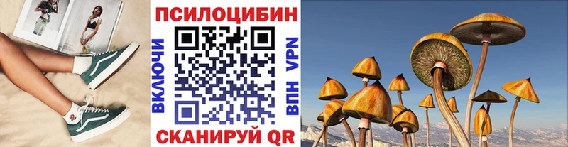 цена   Бологое  Псилоцибиновые грибы GOLDEN TEACHER 